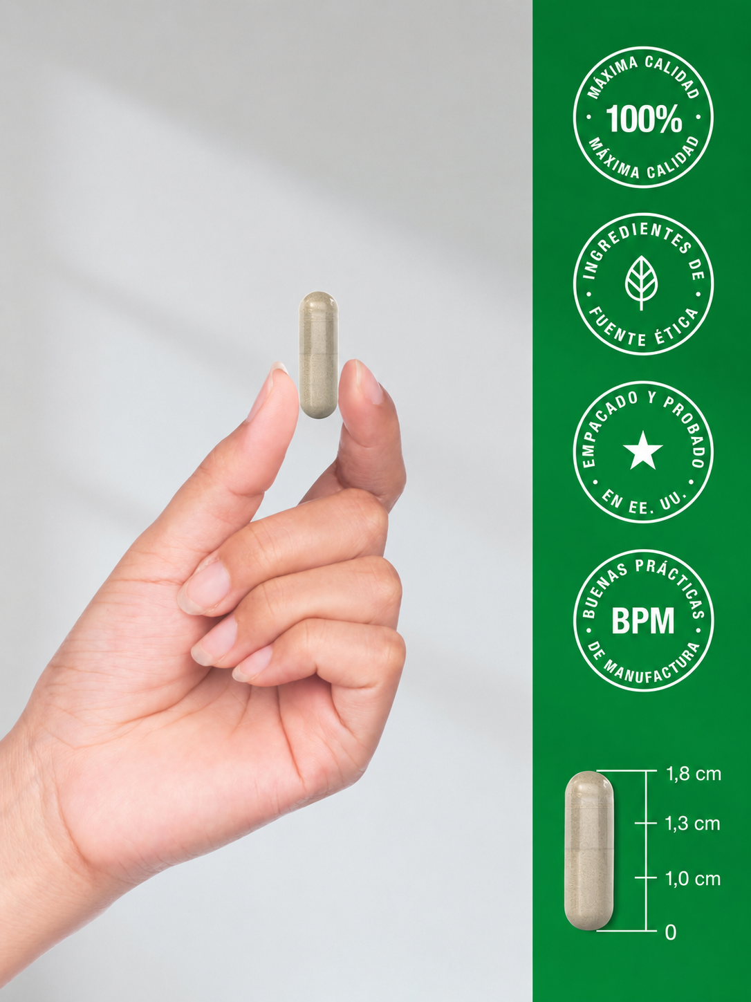 Horbäach - Ashwagandha de 450 mg – Suplemento Herbal para Estrés y Bienestar | Cápsulas