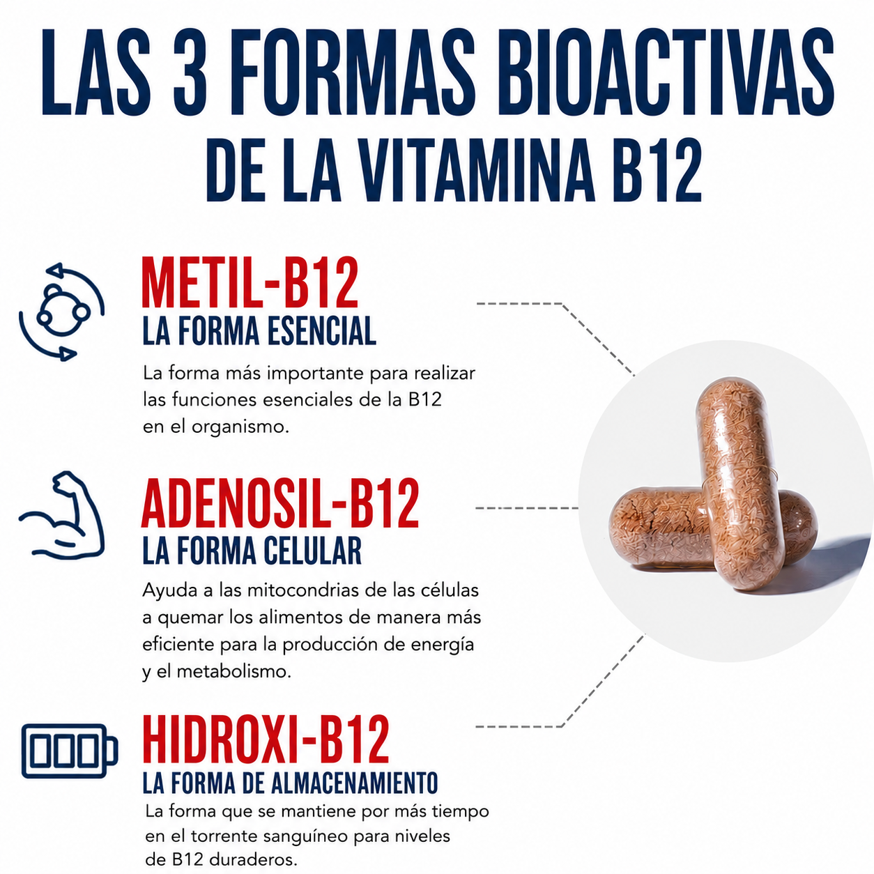 Triquetra - BioActive Vitamina B12 5000 mcg de Espectro Completo | 60 Porciones