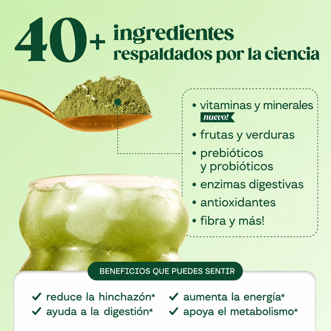 Bloom Nutrition - Polvo de Verduras y Superalimentos para la Salud Digestiva - Enzimas Digestivas, Probióticos, Espirulina, Clorela para la Hinchazón y el Bienestar Intestinal Sabor Fresa y Kiwi | Porciones