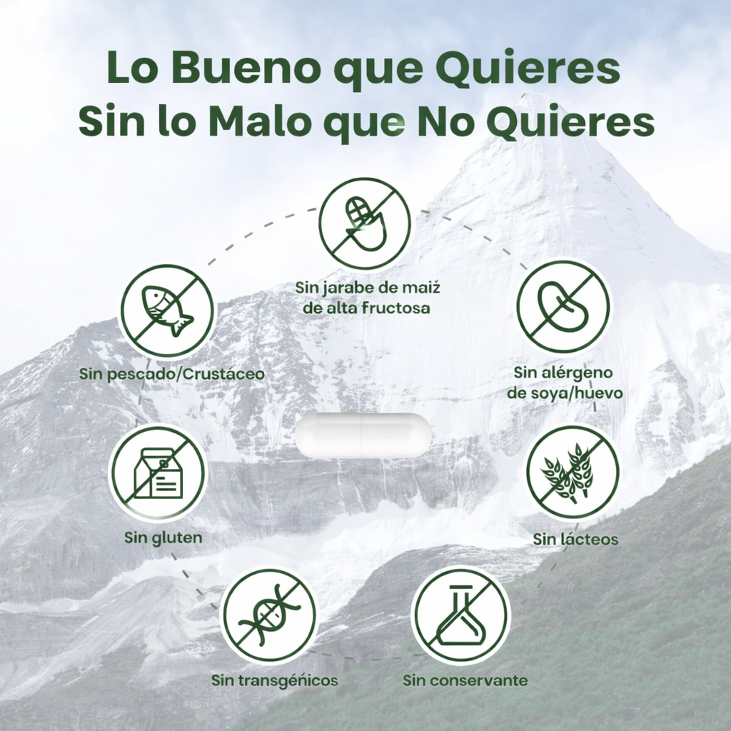 FLYNEW - Shilajit Potencia Ultraóptima – 60 Cápsulas – Energía, Vitalidad y Apoyo Inmunológico