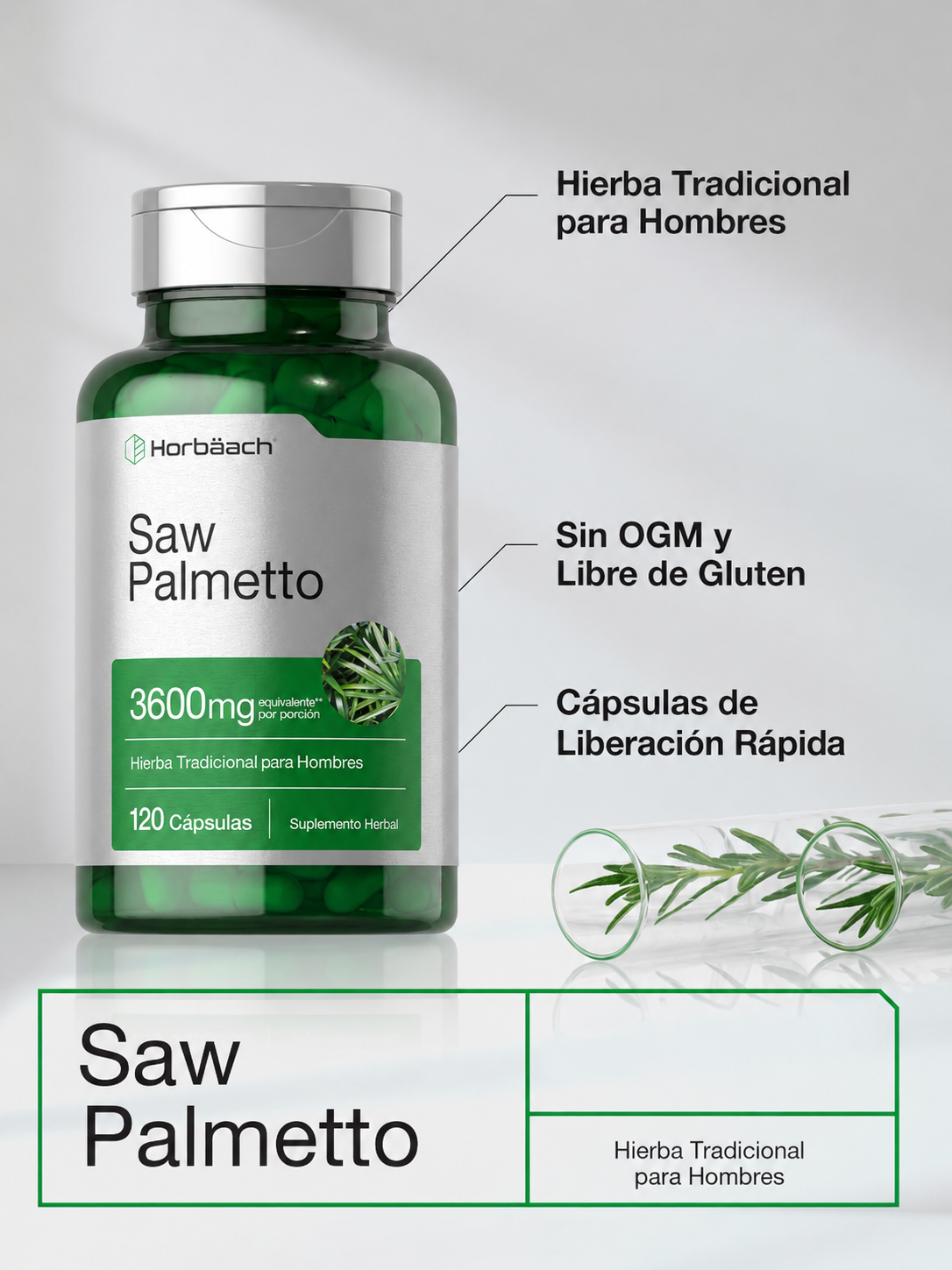 Horbäach - Saw Palmetto 3600 mg – Suplemento Herbal para Hombre | 120 Cápsulas