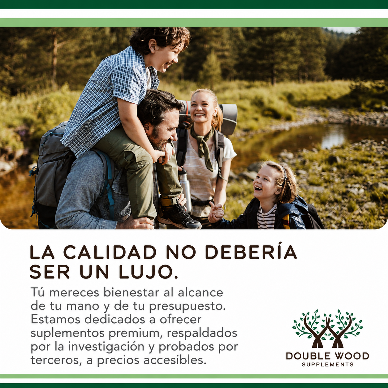 Double Wood - Benfotiamina de 300mg - Sin OMG, para Aumentar los Niveles de Tiamina B1 - Más Fácil de Absorber que la Tiamina, Liposoluble | 120 Cápsulas