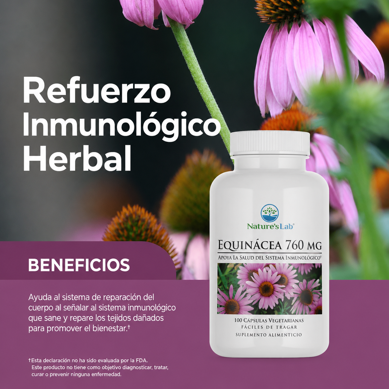 Equinácea 760 mg – 100 Cápsulas | Refuerzo Natural del Sistema Inmunológico