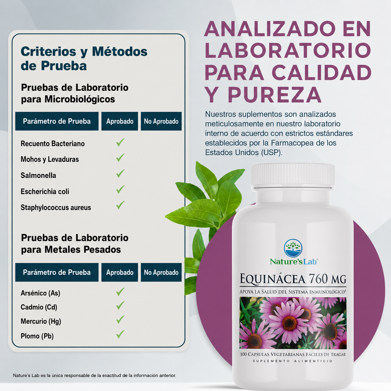 Equinácea 760 mg – 100 Cápsulas | Refuerzo Natural del Sistema Inmunológico