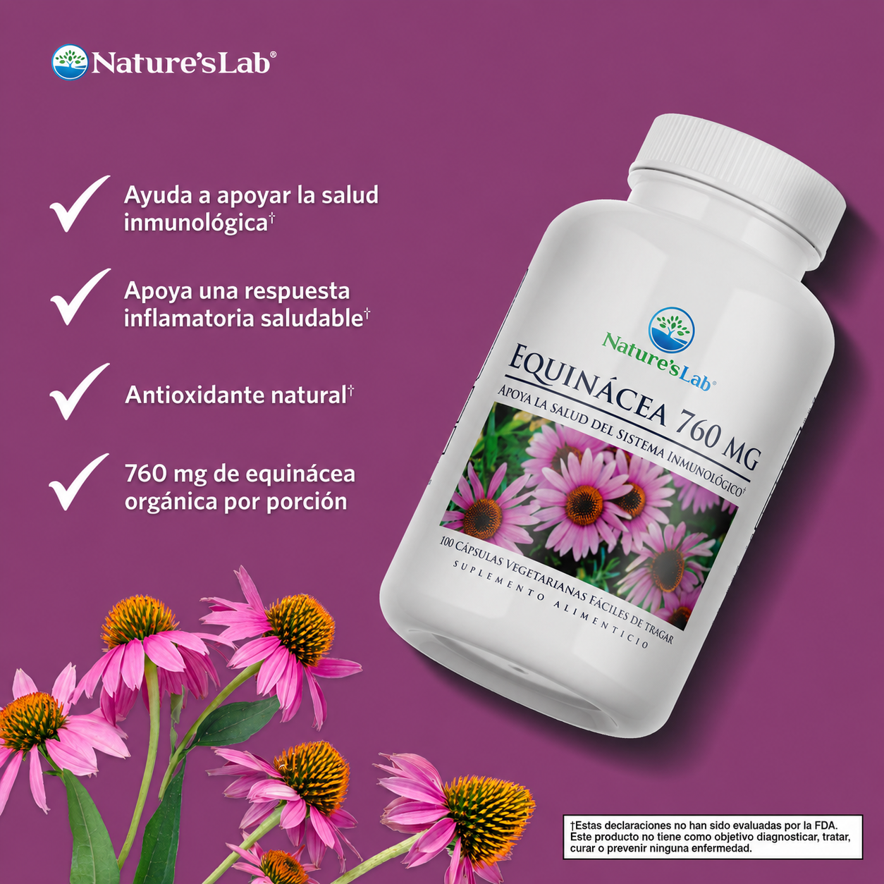 Equinácea 760 mg – 100 Cápsulas | Refuerzo Natural del Sistema Inmunológico