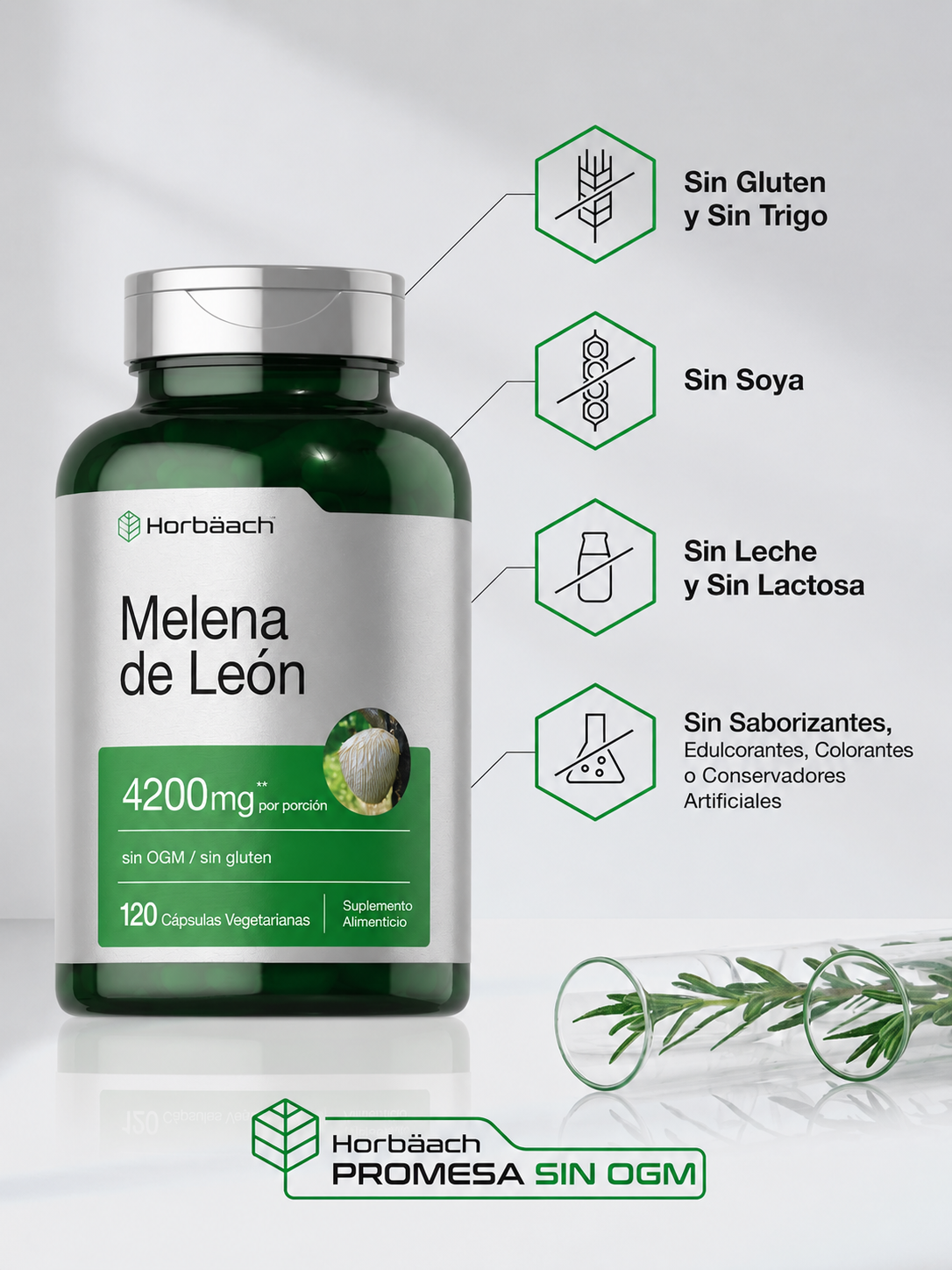 Extracto de Melena de León 4200 mg – 120 Cápsulas | Horbäach