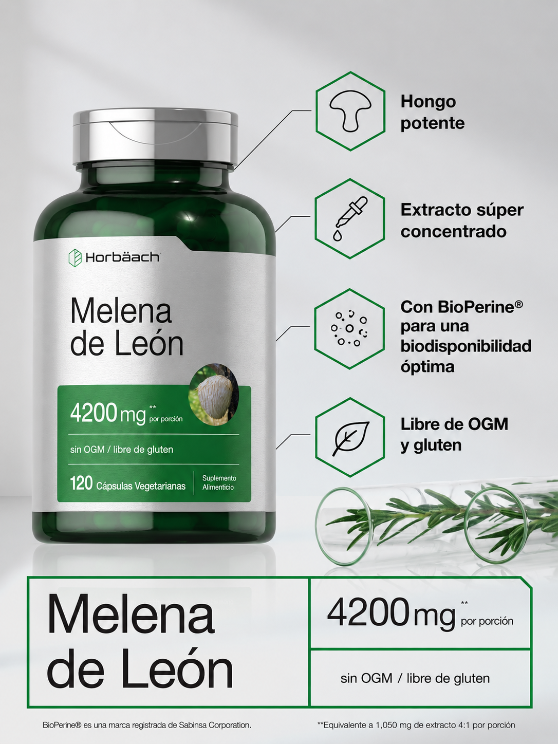 Extracto de Melena de León 4200 mg – 120 Cápsulas | Horbäach