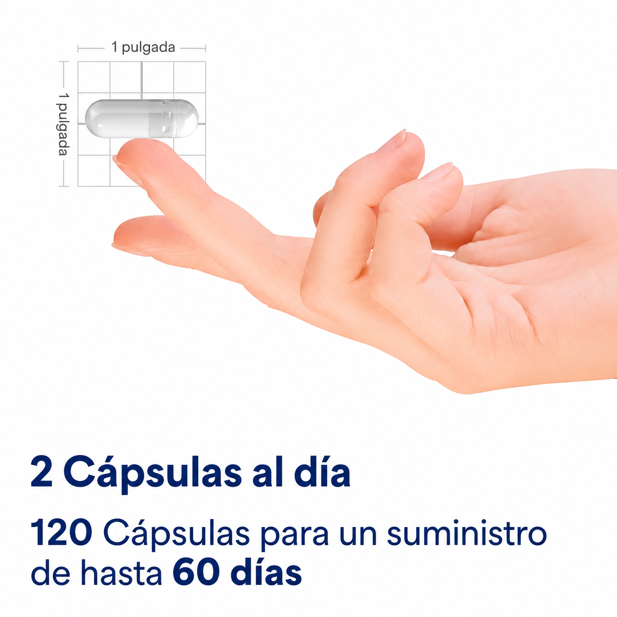 Puritan's Pride - Glucosamina y Condroitina Complex - Soporte para Articulaciones | 120 Cápsulas