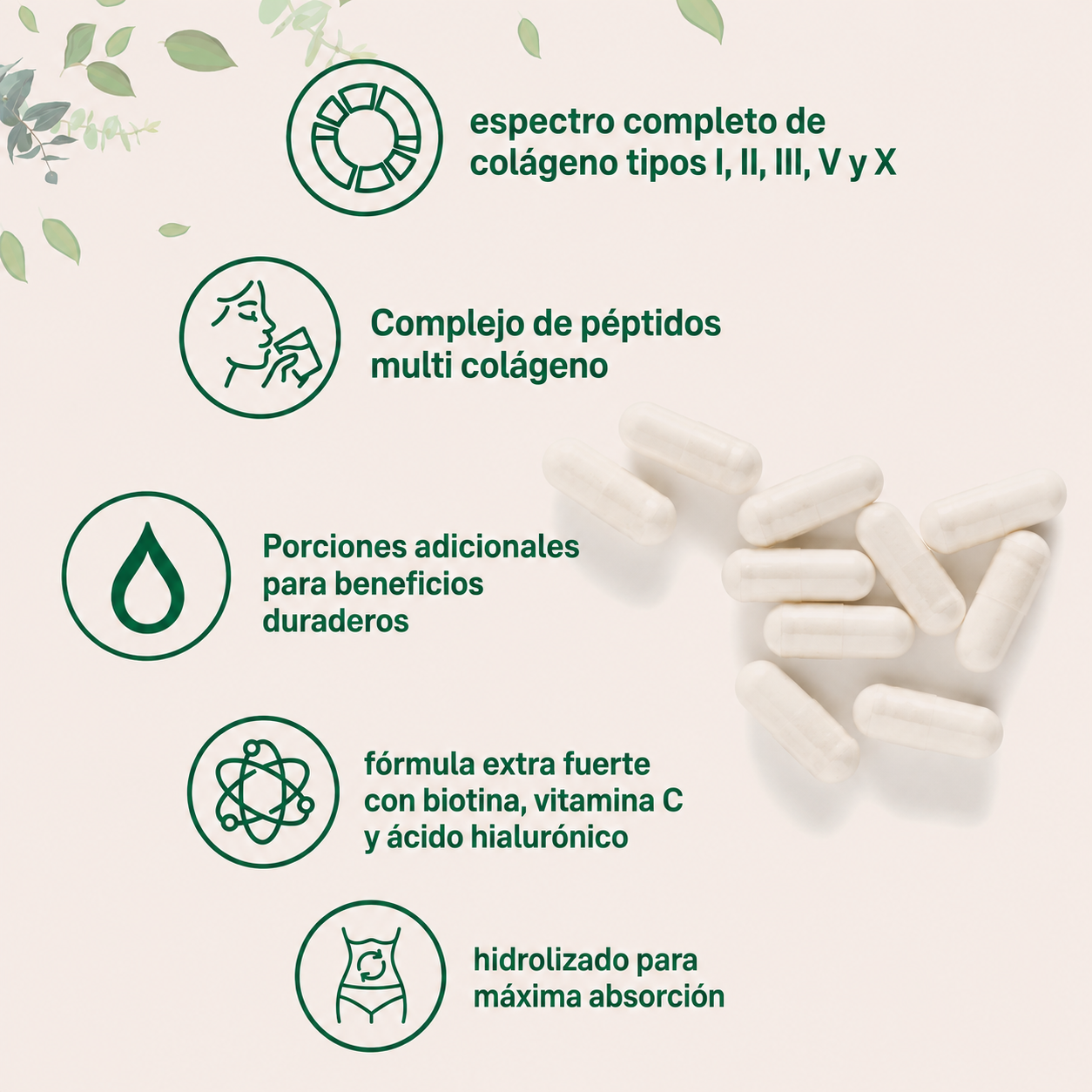 Micro Ingredients - Cápsulas de Péptidos de Colágeno Múltiple - Para Mujeres y Hombres - Tipos I, II, III, V y X - Complemento de Colágeno Hidrolizado con Biotina, Ácido Hialurónico y Vitamina C - Sin Rellenos | 240 Cáspulas