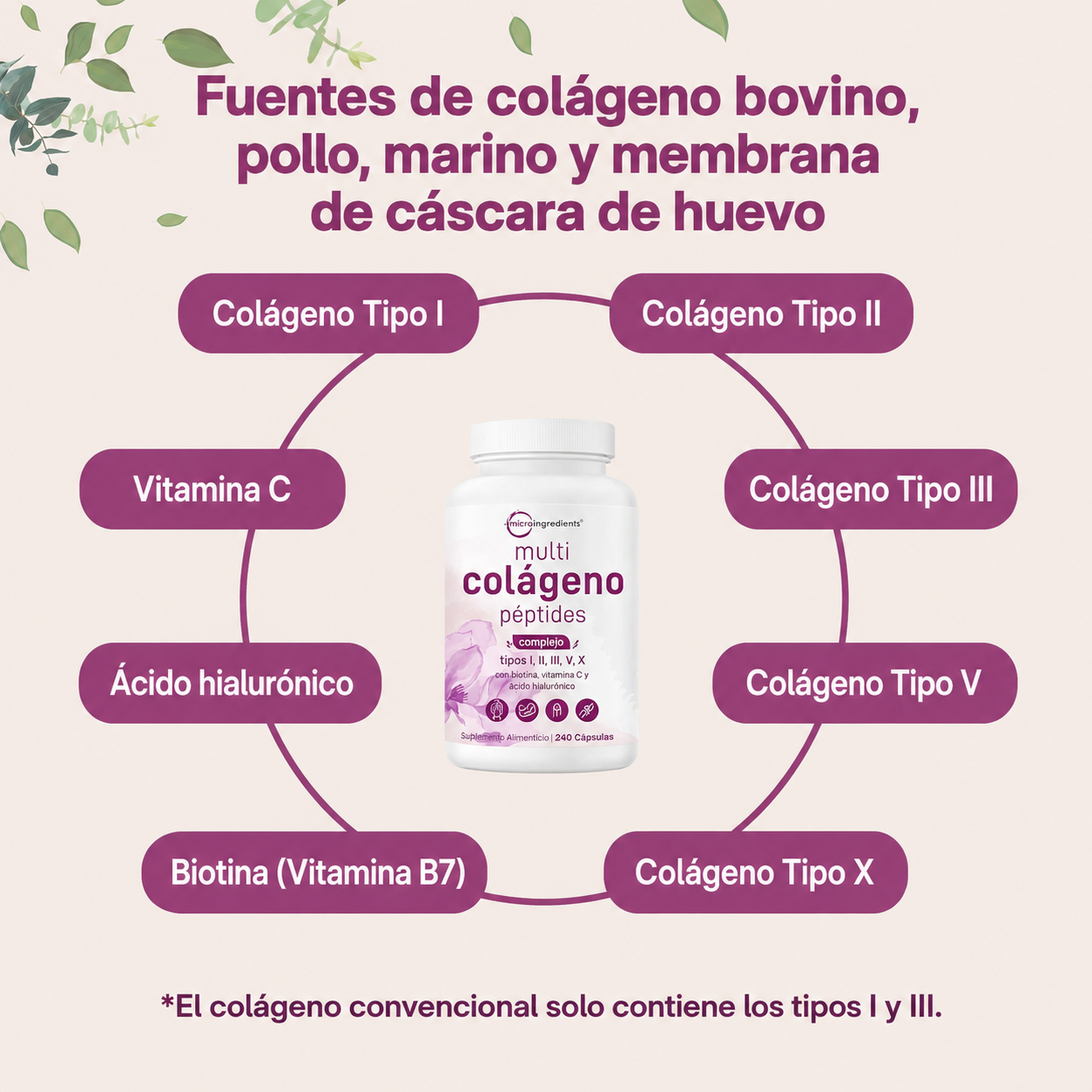 Micro Ingredients - Cápsulas de Péptidos de Colágeno Múltiple - Para Mujeres y Hombres - Tipos I, II, III, V y X - Complemento de Colágeno Hidrolizado con Biotina, Ácido Hialurónico y Vitamina C - Sin Rellenos | 240 Cáspulas