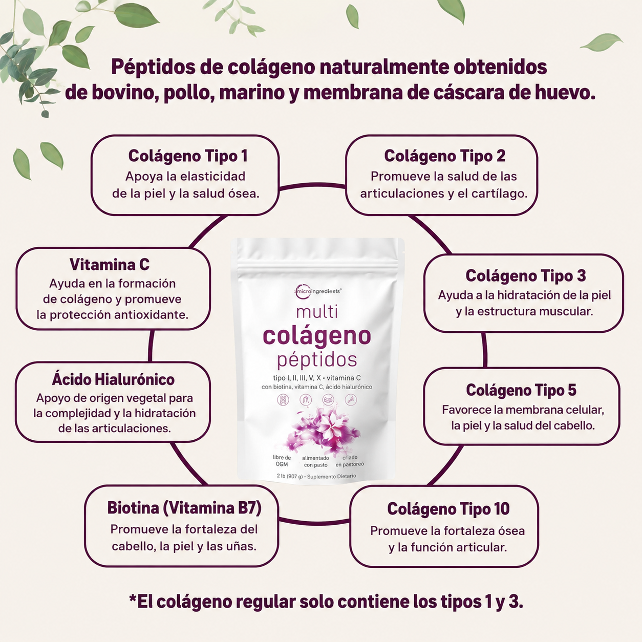Micro Ingredients - Polvo de Péptidos de Colágeno Múltiple - Hidrolizado de Tipo I, II, III, V y X con Biotina, Ácido Hialurónico y Vitamina C - Colágeno sin Sabor para Mujer y Hombre, de Fácil Disolución | Gr