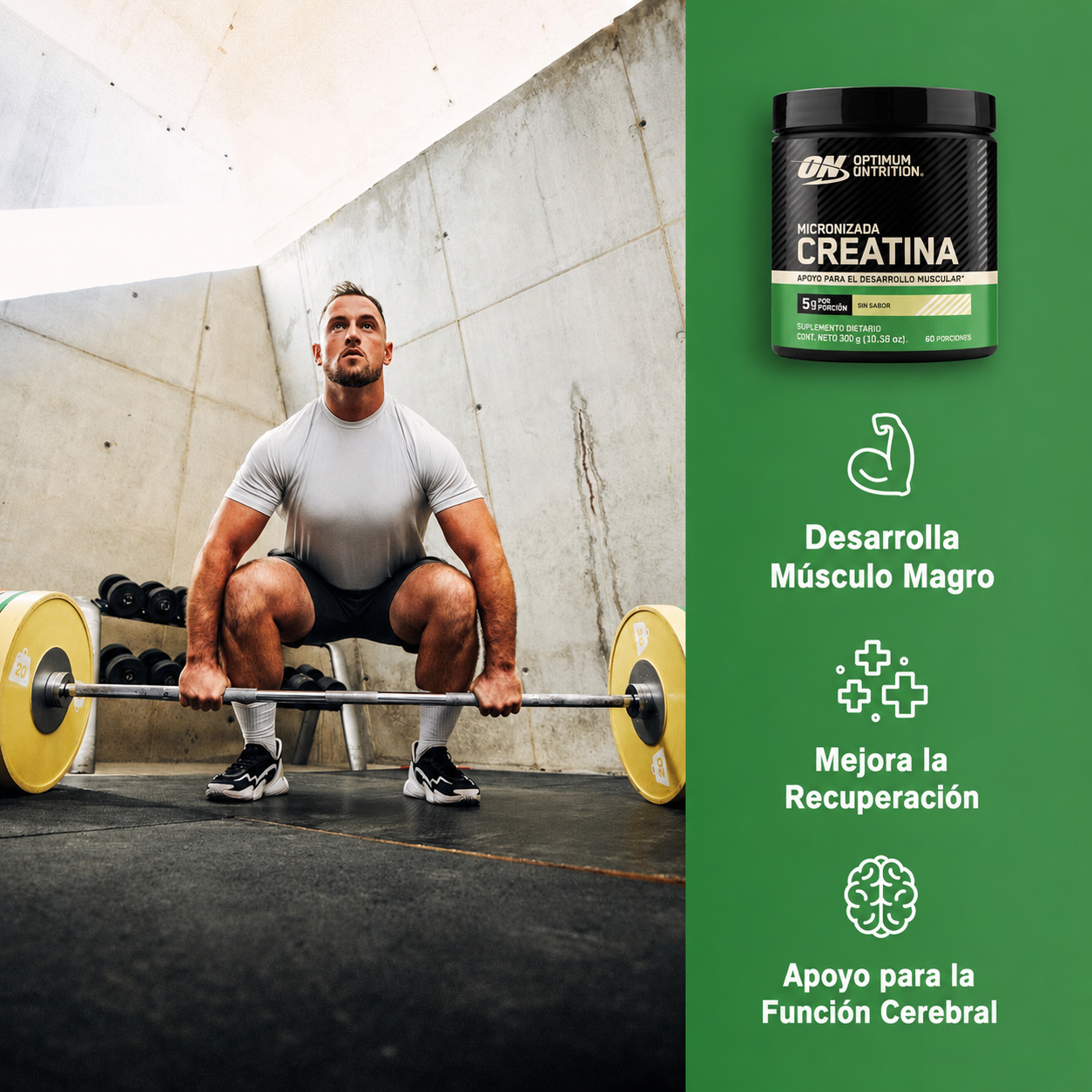 Optimum Nutrition - Creatina en Polvo Micronizada – Creatina Monohidratada Micronizada para Fuerza y Rendimiento | 300 Gr, 600 Gr y 1.2 Kg