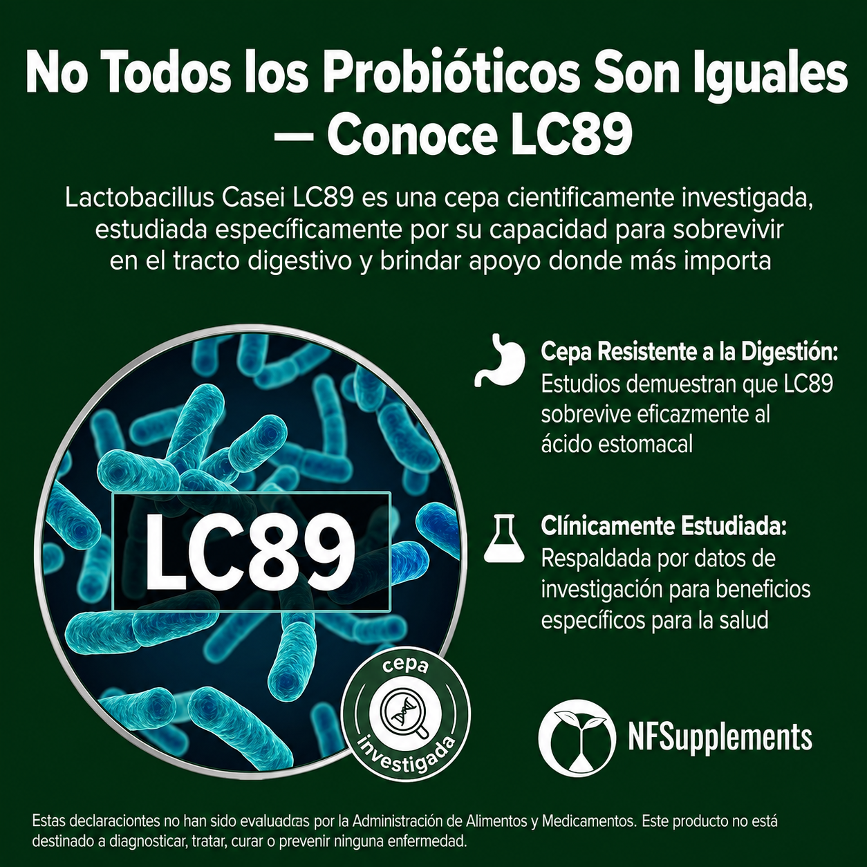 Natural Foundation Supplements - Probiótico Lactobacillus Casei - 3.000 Millones de UFC - Cepa LC89 - Salud Digestiva y Apoyo Intestinal | 240 Tabletas