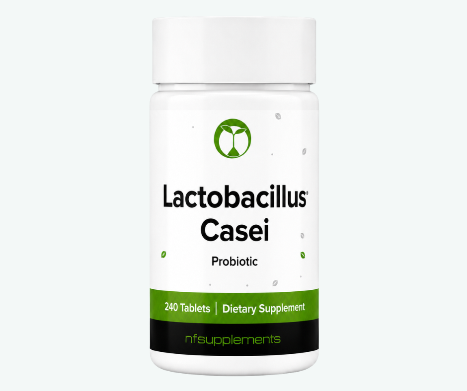 Natural Foundation Supplements - Probiótico Lactobacillus Casei - 3.000 Millones de UFC - Cepa LC89 - Salud Digestiva y Apoyo Intestinal | 240 Tabletas