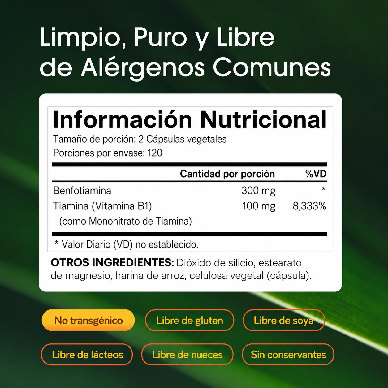 NatureBell - Benfotiamina con Tiamina - 300 mg de Benfotiamina y 100 mg de Tiamina - Para la Salud Cardíaca, la Producción de Energía y el Apoyo al Sistema Nervioso - Complejo de Vitamina B1 | 240 Cápsulas