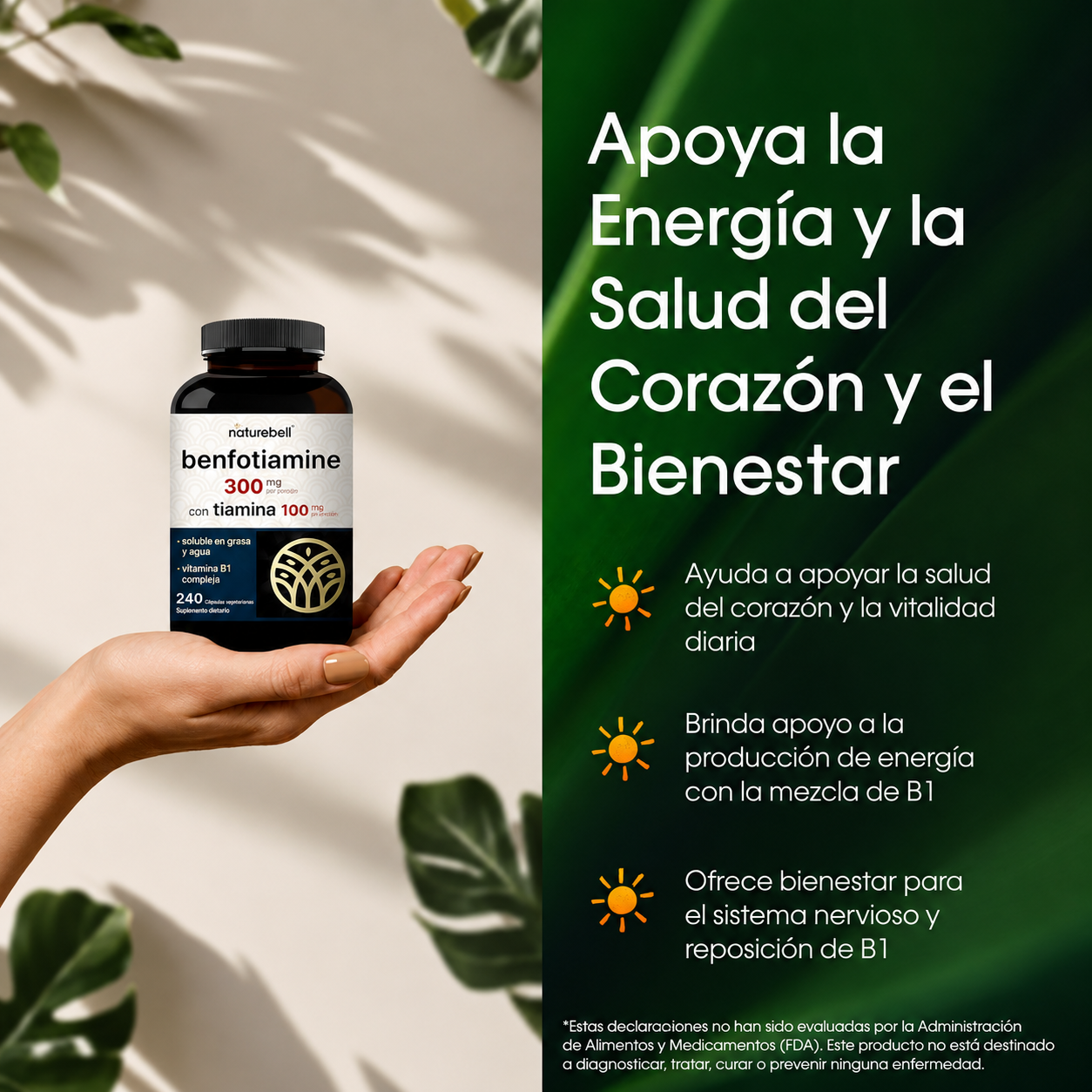 NatureBell - Benfotiamina con Tiamina - 300 mg de Benfotiamina y 100 mg de Tiamina - Para la Salud Cardíaca, la Producción de Energía y el Apoyo al Sistema Nervioso - Complejo de Vitamina B1 | 240 Cápsulas