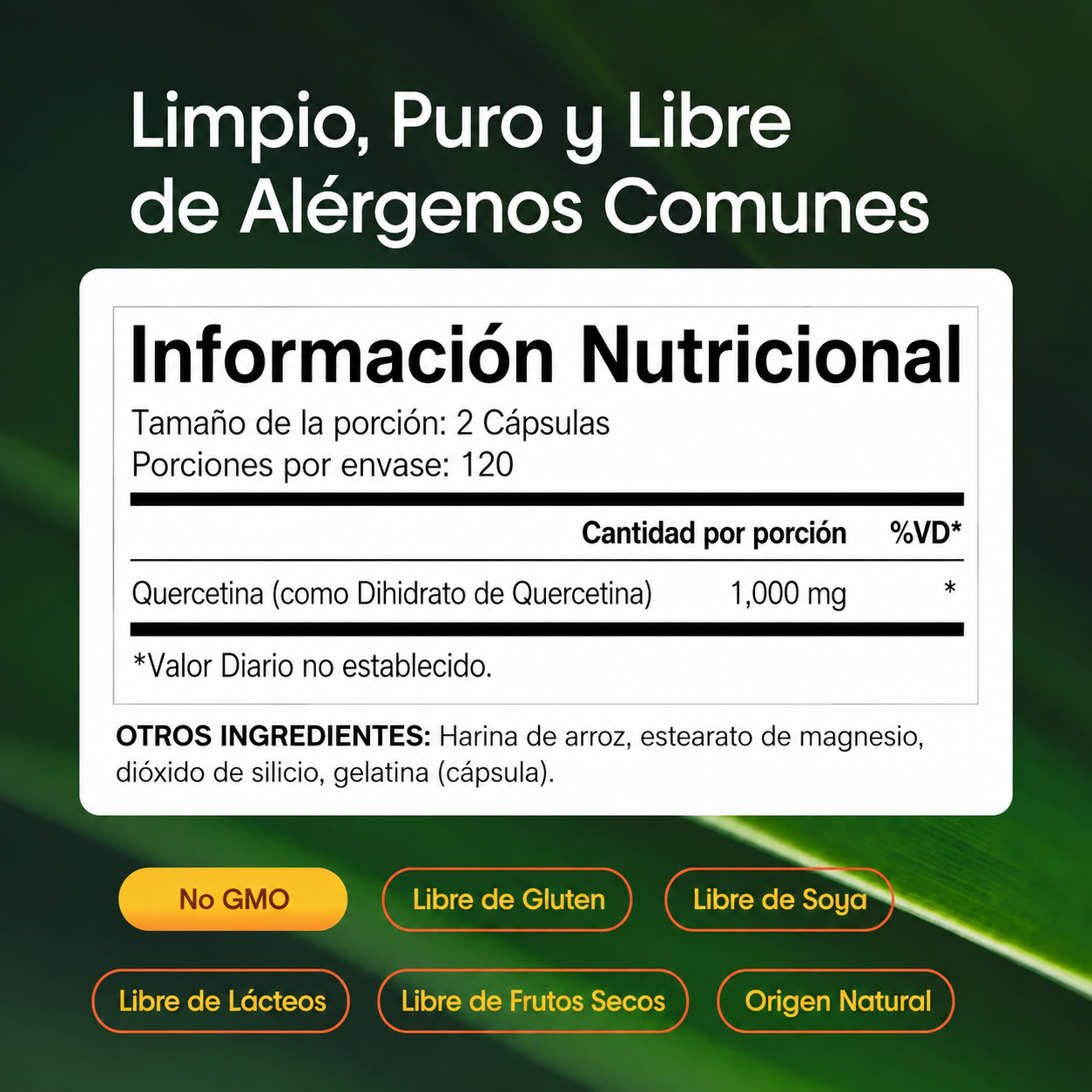 NatureBell - Quercetina 1,000mg - Suplemento de Alta Potencia para Reforzar el Sistema Inmunitario | 240 Cápsulas