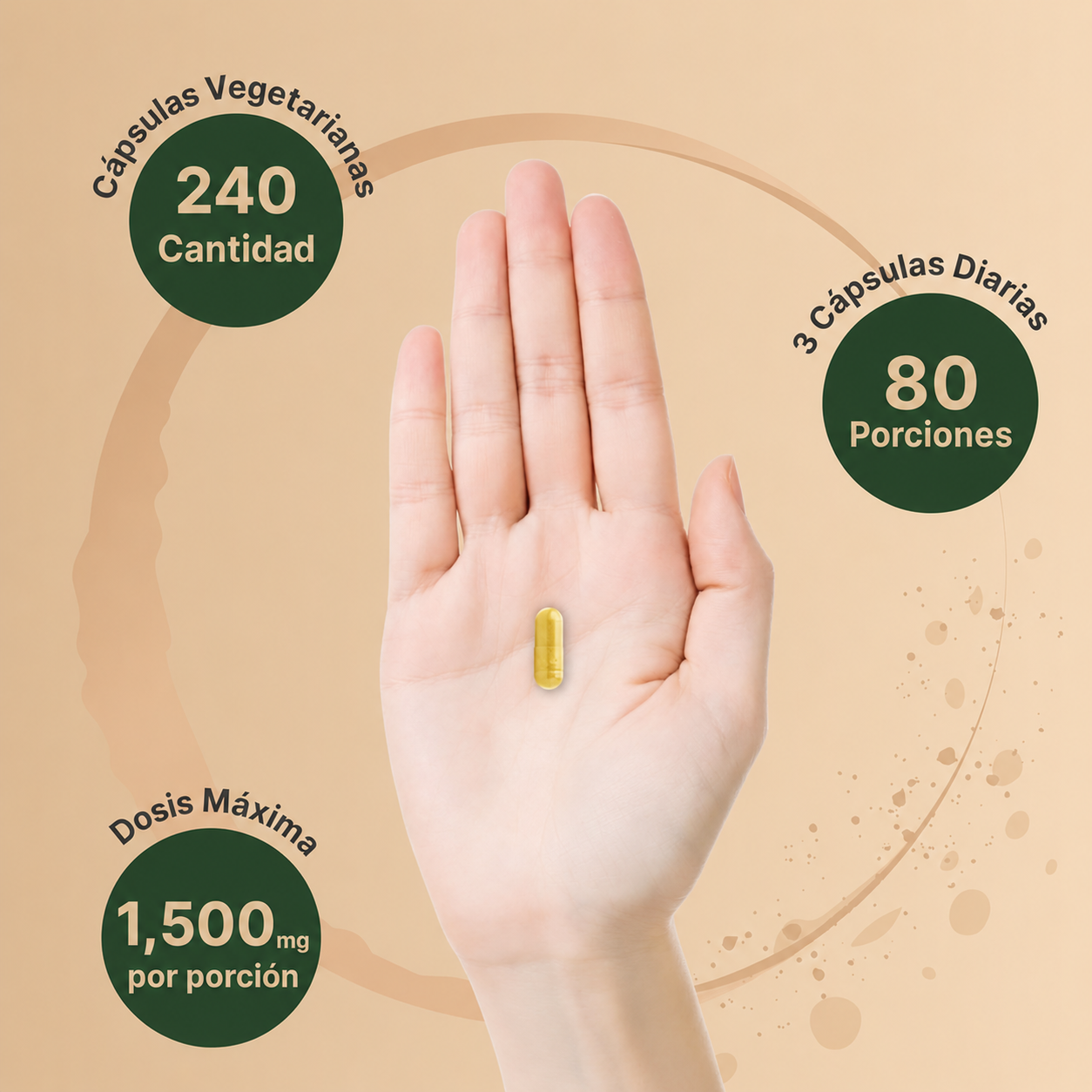 NatureBell - Berberina 1500 mg – Soporte para Metabolismo, Glucosa y Salud Cardiovascular | 240 Cápsulas