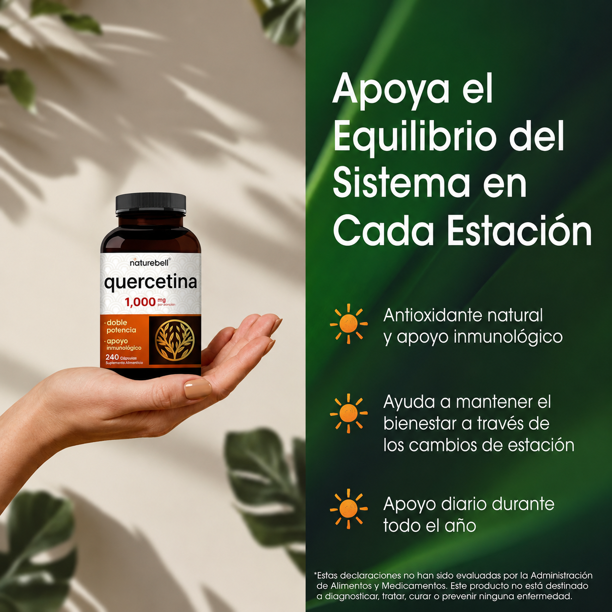 NatureBell - Quercetina 1,000mg - Suplemento de Alta Potencia para Reforzar el Sistema Inmunitario | 240 Cápsulas