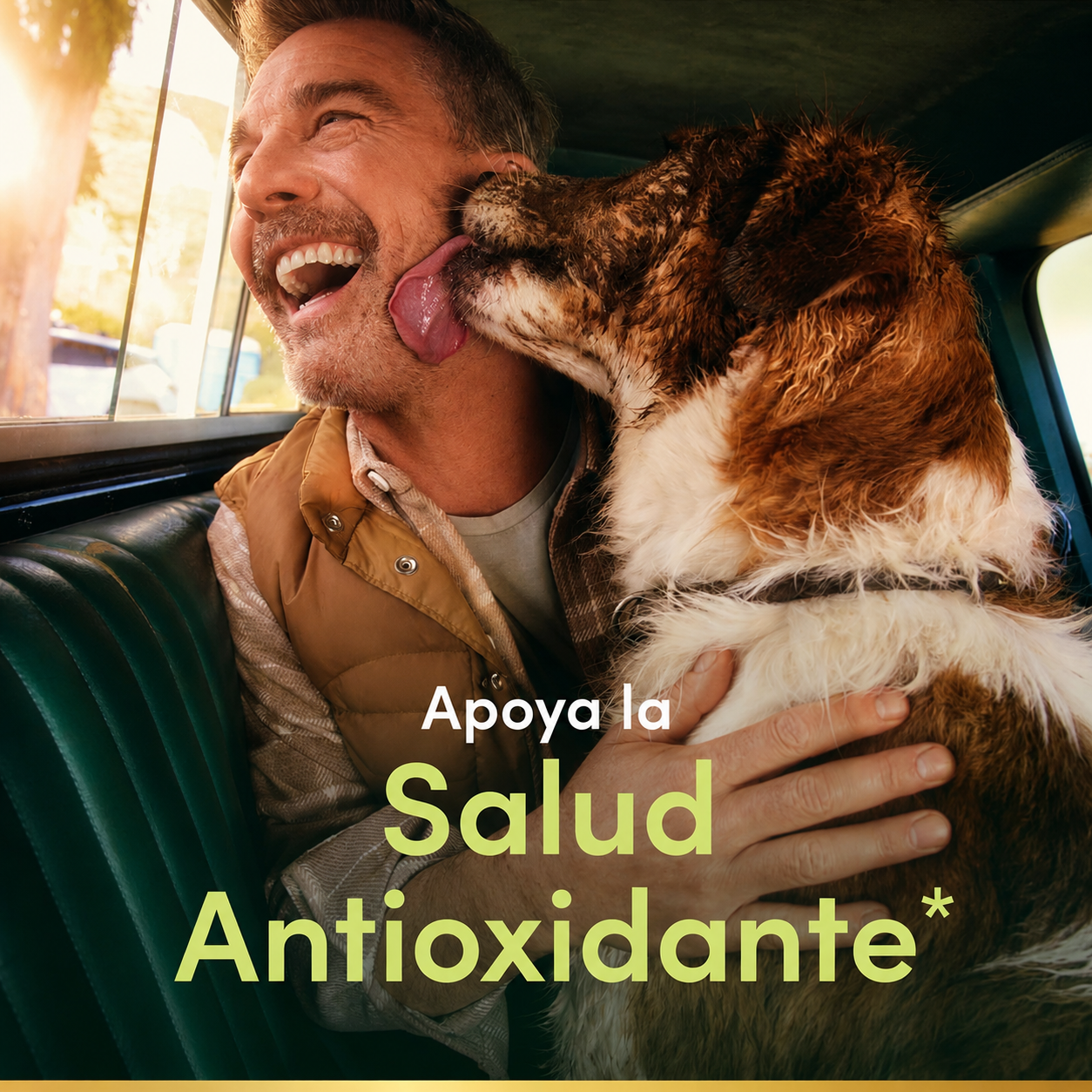 Nature's Bounty - Vitamina E de 1000 IU - Favorece la Salud por sus Propiedades Antioxidantes y Refuerza el Sistema Inmunitario | 60 Softgels