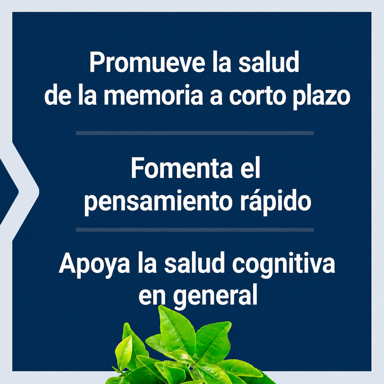 Life Extension - Neuro-Mag Treonato de Magnesio - Soporte para la Memoria, Enfoque y Salud Cerebral | Cápsulas