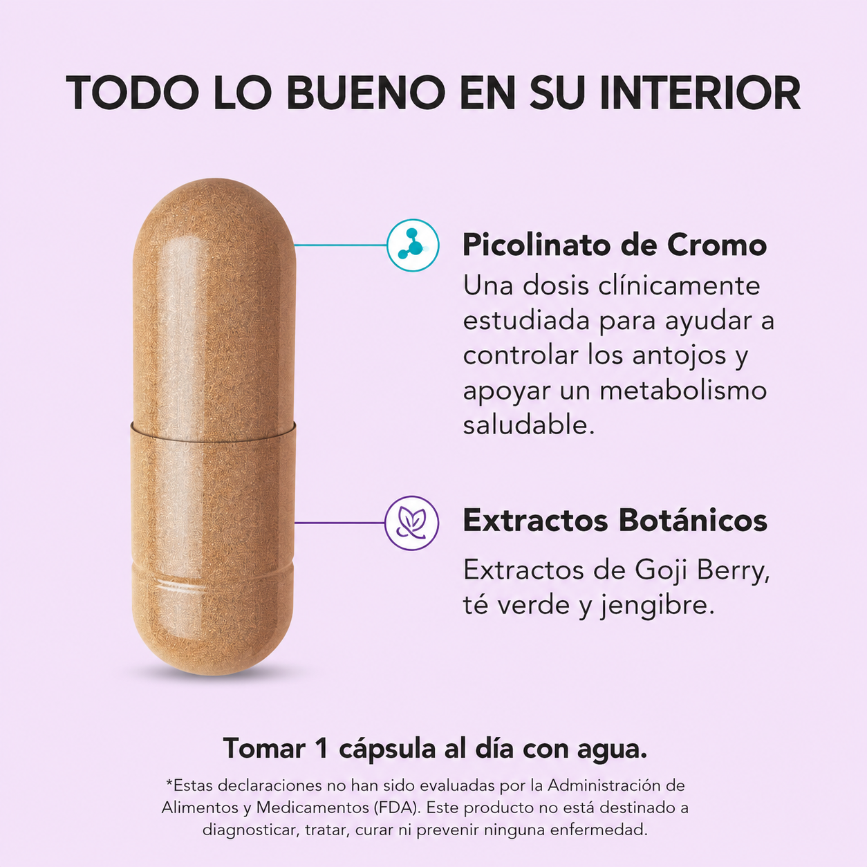 OLLY Combat Cravings 30 Cápsulas – Control de Antojos y Apoyo al Metabolismo