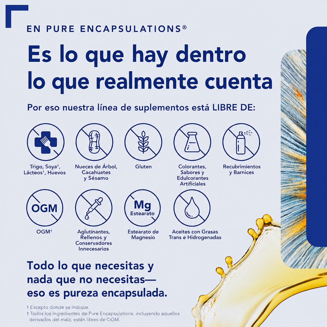 Pure Encapsulations - Ácido Alfa Lipoico de 200 mg - Complemento de ALA para el Cuidado del Hígado, Antioxidantes, Salud Nerviosa y Cardiovascular - Apoyo al Metabolismo de los Hidratos de Carbono | Cápsulas