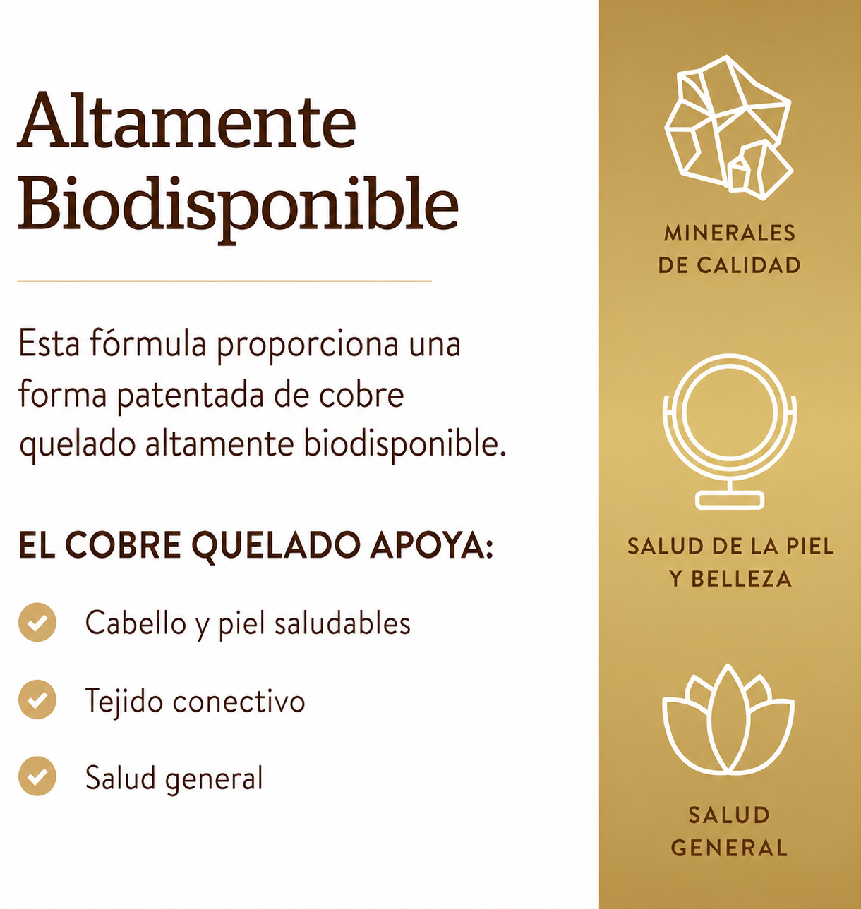 Solgar - Cobre Quelado 2.5 mg – Alta Absorción | 100 Tabletas