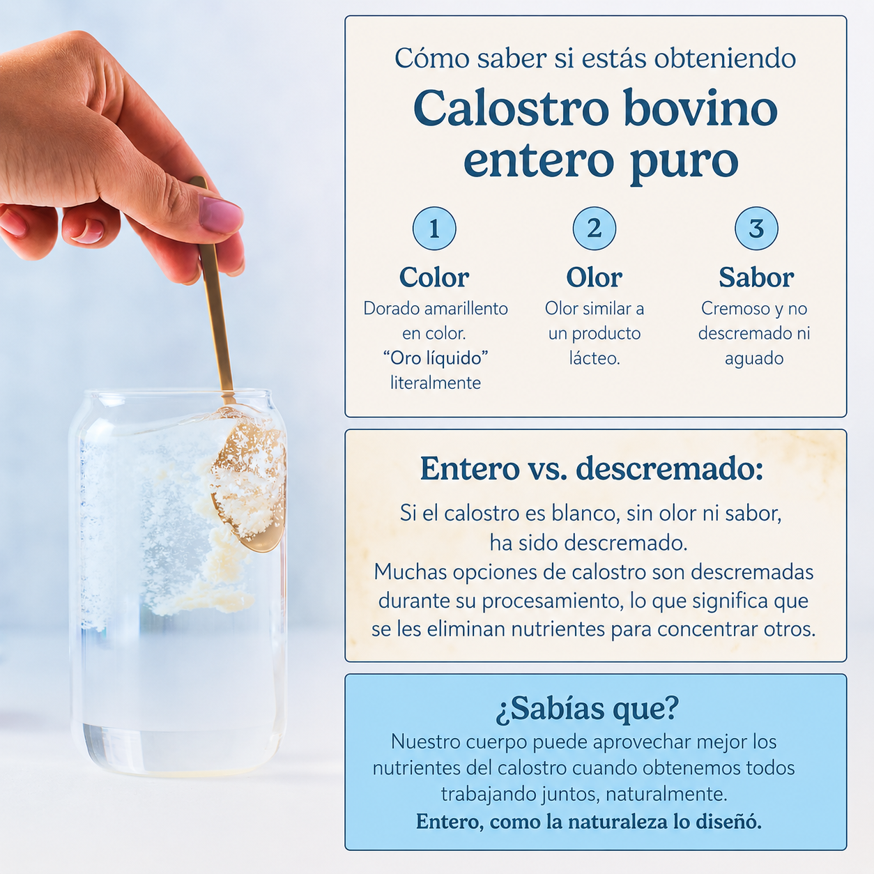 WonderCow Colostrum Restore & Revitalize – Suplemento de Calostro Bovino para Inmunidad, Energía y Recuperación